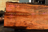 Oregon Fir Slab 101521-01