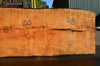 Big Leaf Maple Slab 072121-11