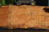 Big Leaf Maple Slab 072121-12