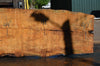 Big Leaf Maple Slab 072121-12