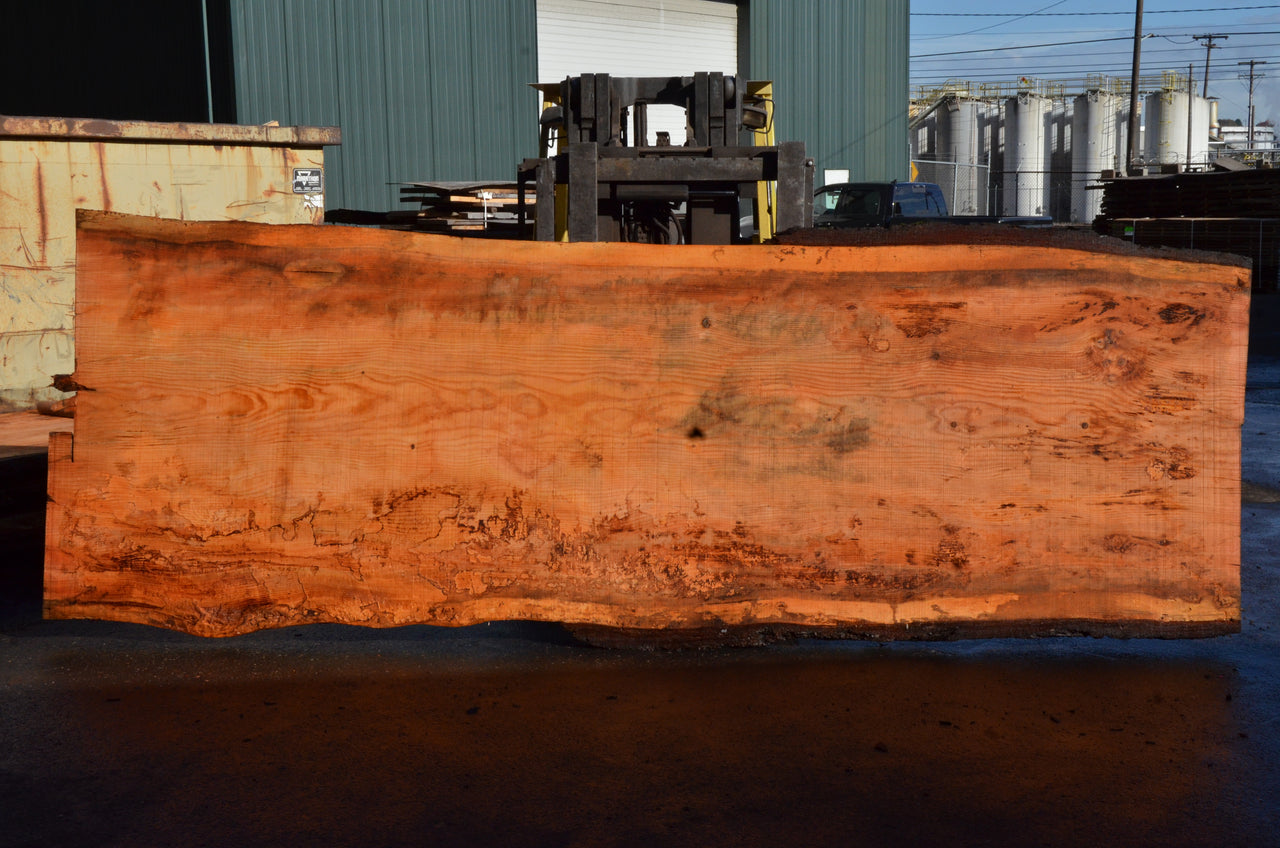 Oregon Fir Slab 101521-03