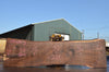 Oregon Black Walnut Slab 092622-03