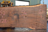 Oregon Black Walnut Slab 092622-03