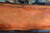 Oregon Fir Slab 101521-04