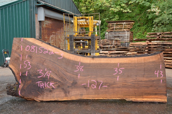 Oregon Black Walnut Slab 081522-03