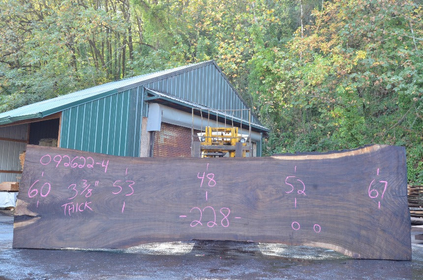 Oregon Black Walnut Slab 092622-04