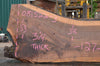 Oregon Black Walnut Slab 081522-03
