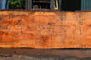 Oregon Fir Slab 072421-01