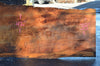 Oregon Fir Slab 101521-05