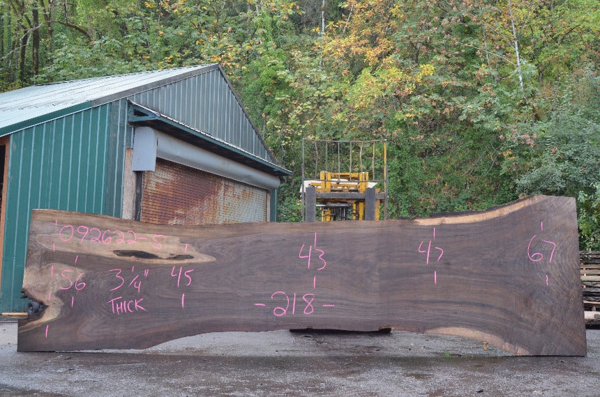 Oregon Black Walnut Slab 092622-05