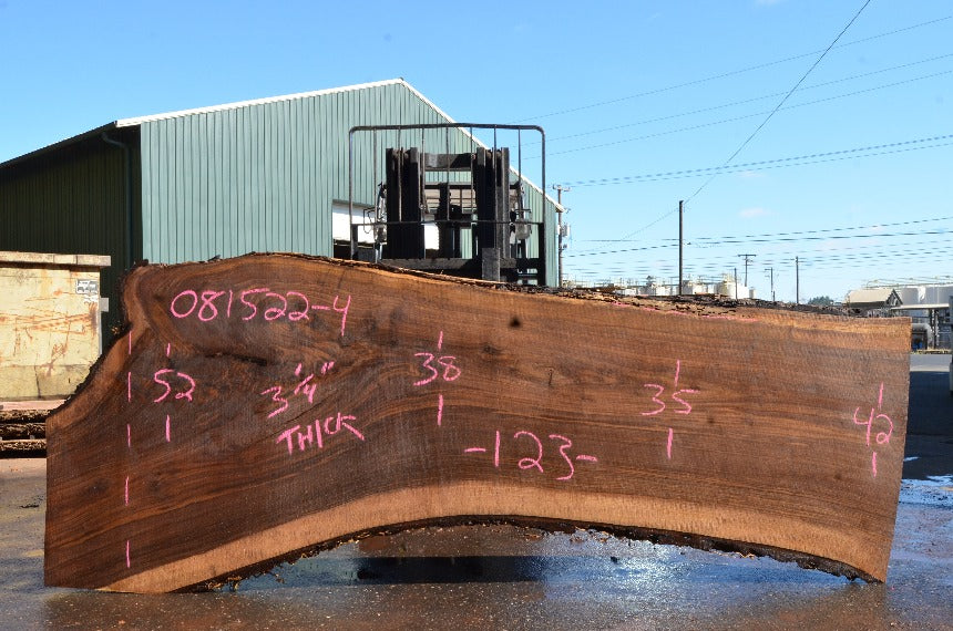 Oregon Black Walnut Slab 081522-04