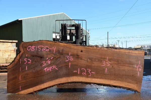 Oregon Black Walnut Slab 081522-04