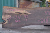 Oregon Black Walnut Slab 092622-05