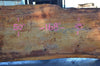Oregon Fir Slab 101521-06