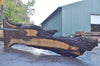 Oregon Black Walnut Slab 092622-06