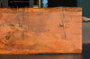 Oregon Fir Slab 072421-02