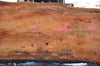 Oregon Fir Slab 101521-07