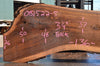Oregon Black Walnut Slab 081522-05