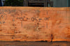 Oregon Fir Slab 072421-03