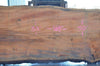 Oregon Fir Slab 101521-08