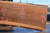 Oregon Black Walnut Slab 081522-06