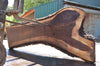 Oregon Black Walnut Slab 081522-07