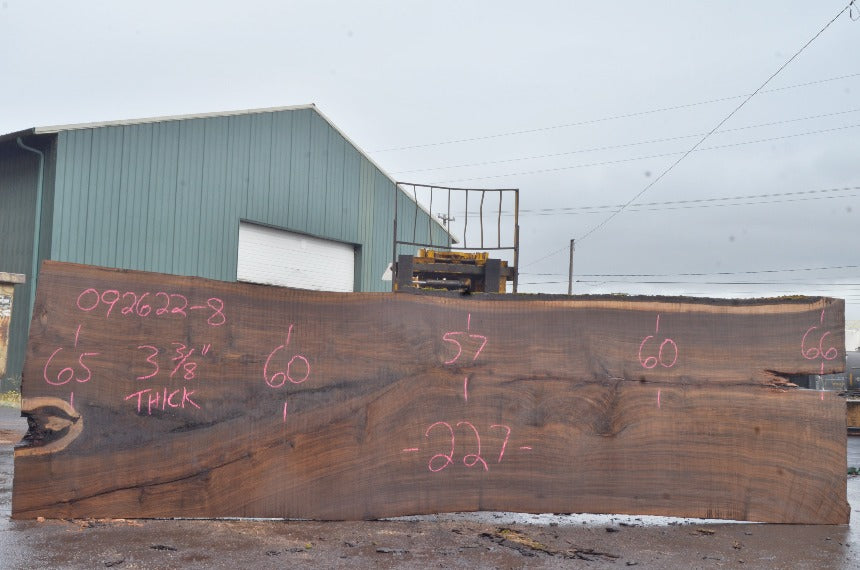 Oregon Black Walnut Slab 092622-08