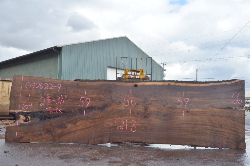 Oregon Black Walnut Slab 092622-09
