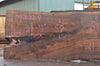 Oregon Black Walnut Slab 092622-09