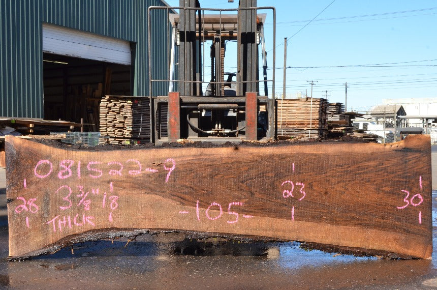 Oregon Black Walnut Slab 081522-09
