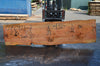 Oregon Fir Slab 072421-07