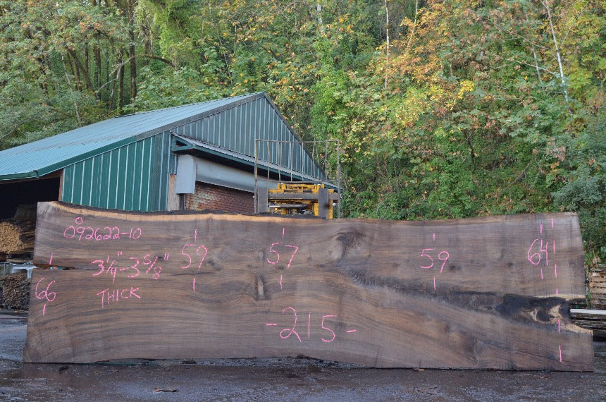 Oregon Black Walnut Slab 092622-10