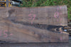 Oregon Black Walnut Slab 092622-10