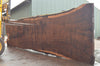 Oregon Black Walnut Slab 092622-11