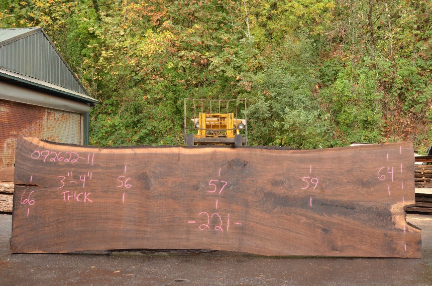 Oregon Black Walnut Slab 092622-11