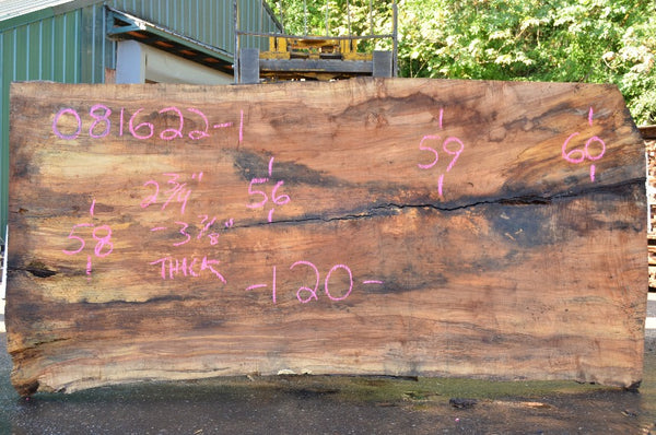 Big Leaf Maple Slab 081622-01