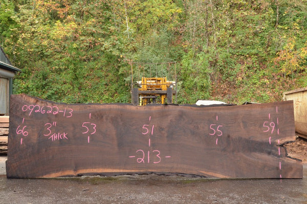 Oregon Black Walnut Slab 092622-13