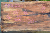 Big Leaf Maple Slab 081622-01