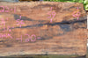 Big Leaf Maple Slab 081622-01
