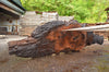 Oregon Black Walnut Slab 060322-10