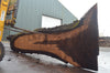 Oregon Black Walnut Slab 092622-16