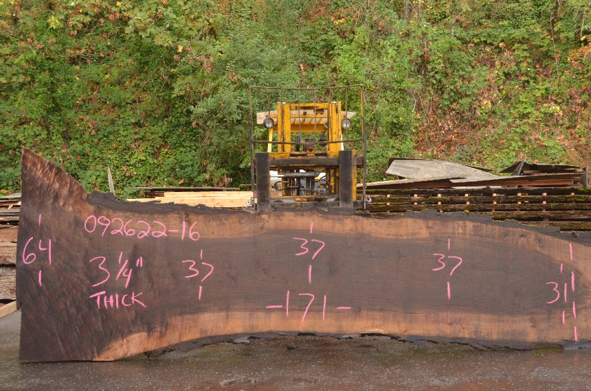 Oregon Black Walnut Slab 092622-16