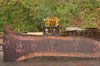 Oregon Black Walnut Slab 092622-16