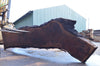 Oregon Black Walnut Slab 081722-01