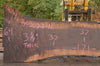 Oregon Black Walnut Slab 092622-16