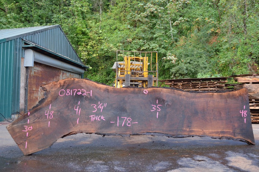 Oregon Black Walnut Slab 081722-01
