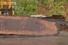 Oregon Black Walnut Slab 092622-16