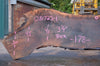 Oregon Black Walnut Slab 081722-01