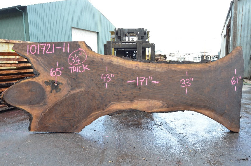 Oregon Black Walnut Slab 101721-11