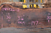 Oregon Black Walnut Slab 081722-02